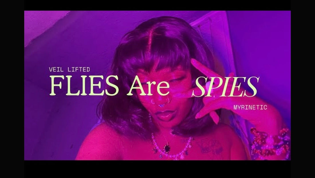 Flies Are Spies🪰